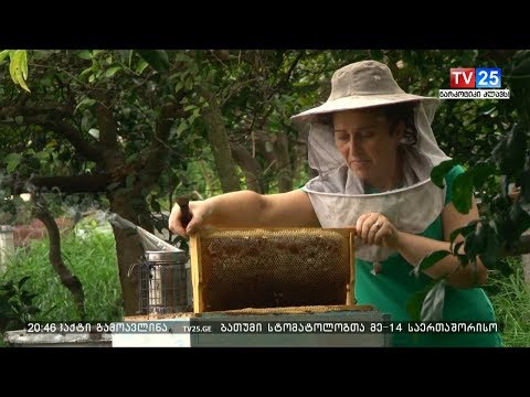 სოფლად მცხოვრებ ქალთა საჭიროებები