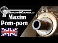 Quick Look at a 37mm Maxim "Pompom" Automatic Cannon