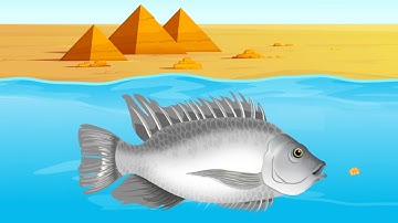 EPIFISH - Innovative epigenetic markers for fish domestication