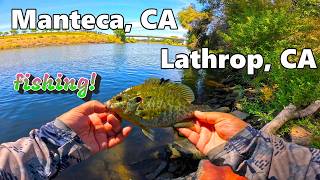 California Delta Bank Fishing San Joaquin River Panfish