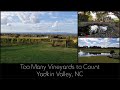Too Many Vineyards to Count - Yadkin Valley, NC
