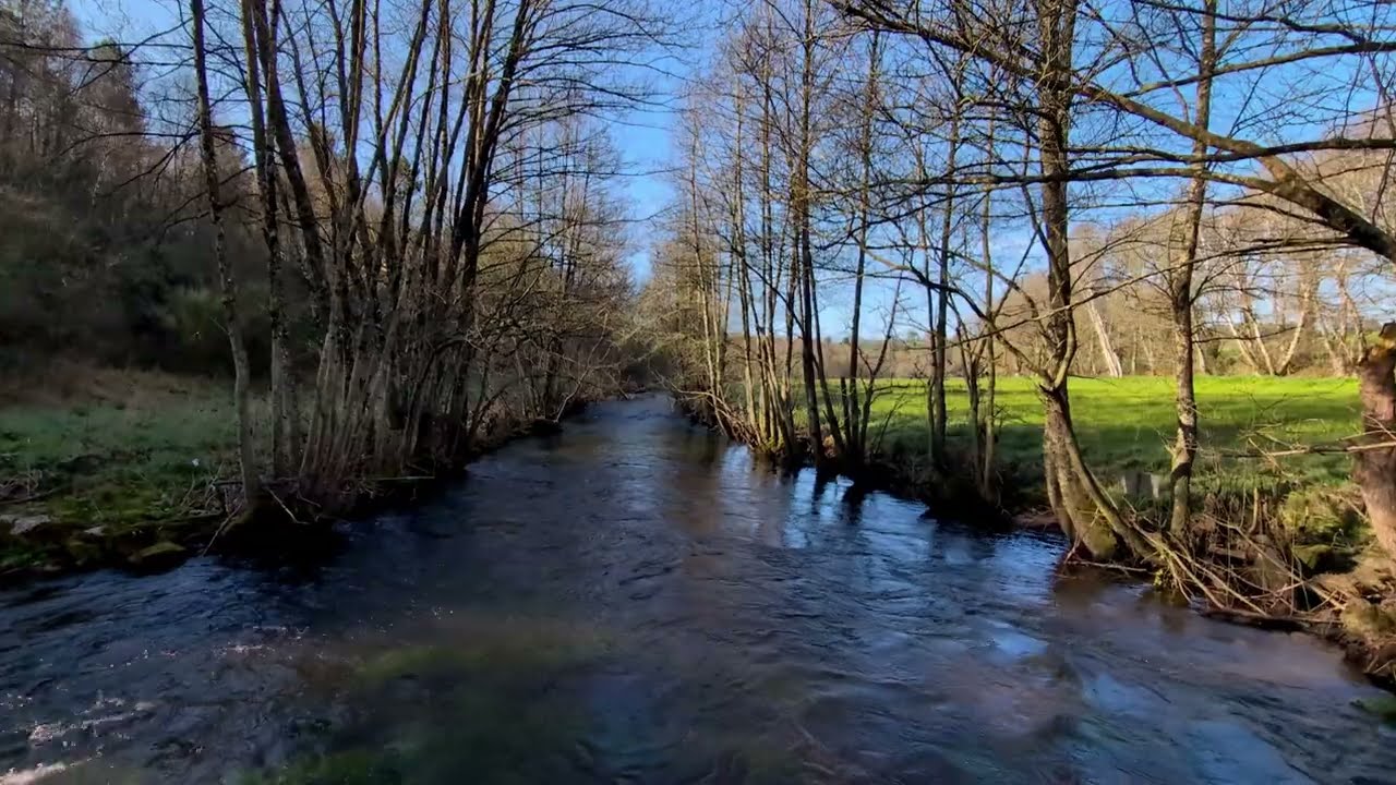 Camino de Invierno - Dia 13 - Rodeiro - Lalin - 27/03/2025