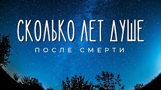 Сколько лет душе после смерти? Максим Каскун