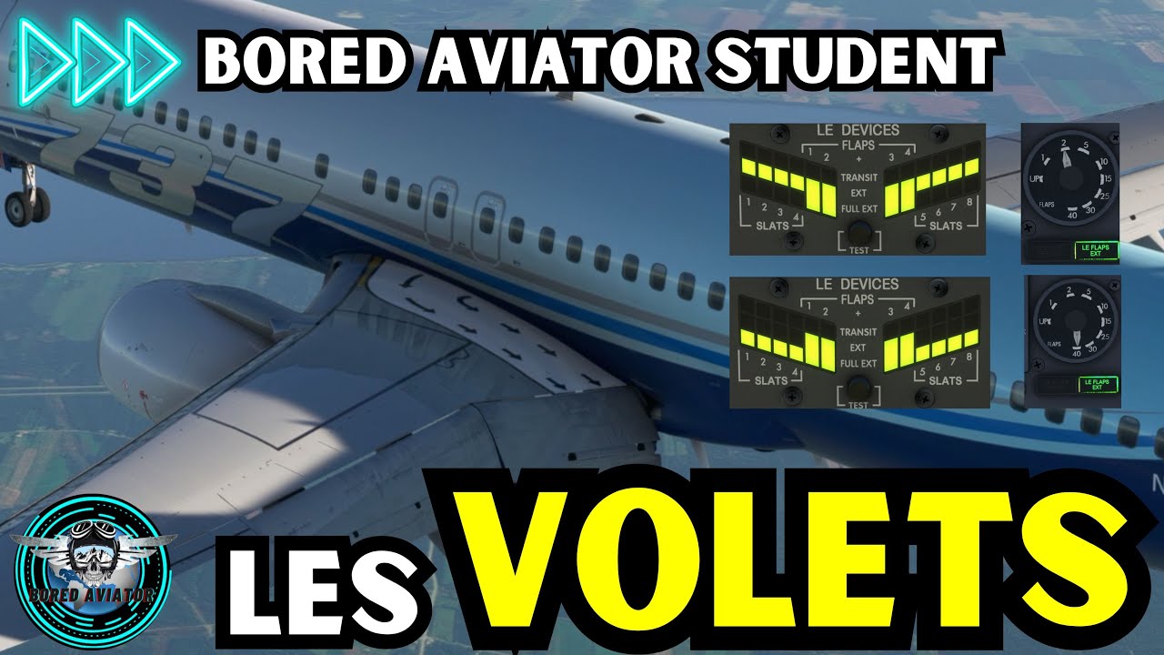 Comment fonctionnent les volets sur un Boeing 737 ? ✈️ | AVIATION | Flaps & Slats | BoredAviator 😈