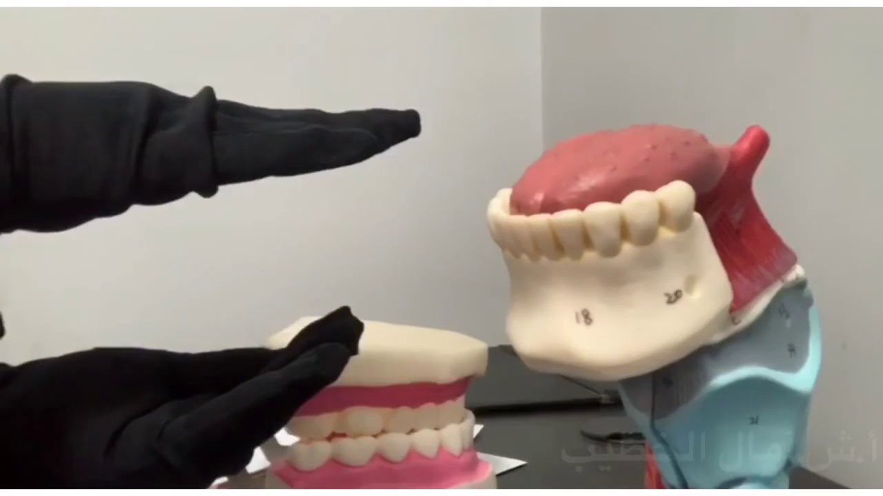 حروف الإطباق حال سكونها وحركتها