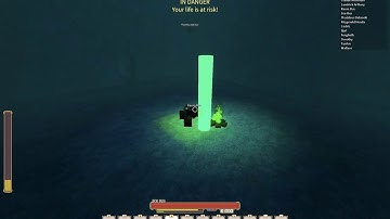 Rogue Lineage Hacker go zoom