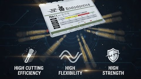 ZZ Rotary Files – The Beast Inside the Canal