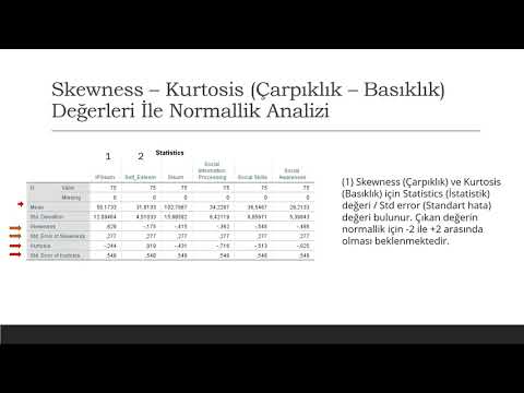 Ders 3: Temel İstatistik Bilgisi
