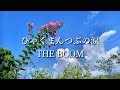 ひゃくまんつぶの涙 THE BOOM ザ・ブーム