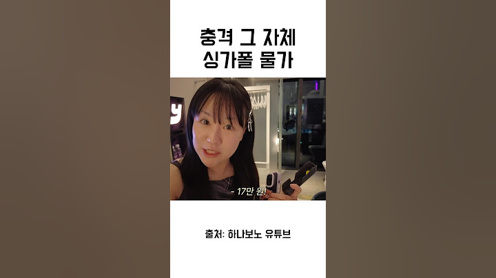 충격 그 자체 싱가포르 물가