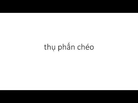 Video: Thông tin về thụ phấn chéo trong ngô - Hiệu ứng của thụ phấn chéo ở ngô