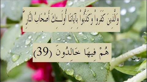 القران الكريم سورة البقرة الاية 39