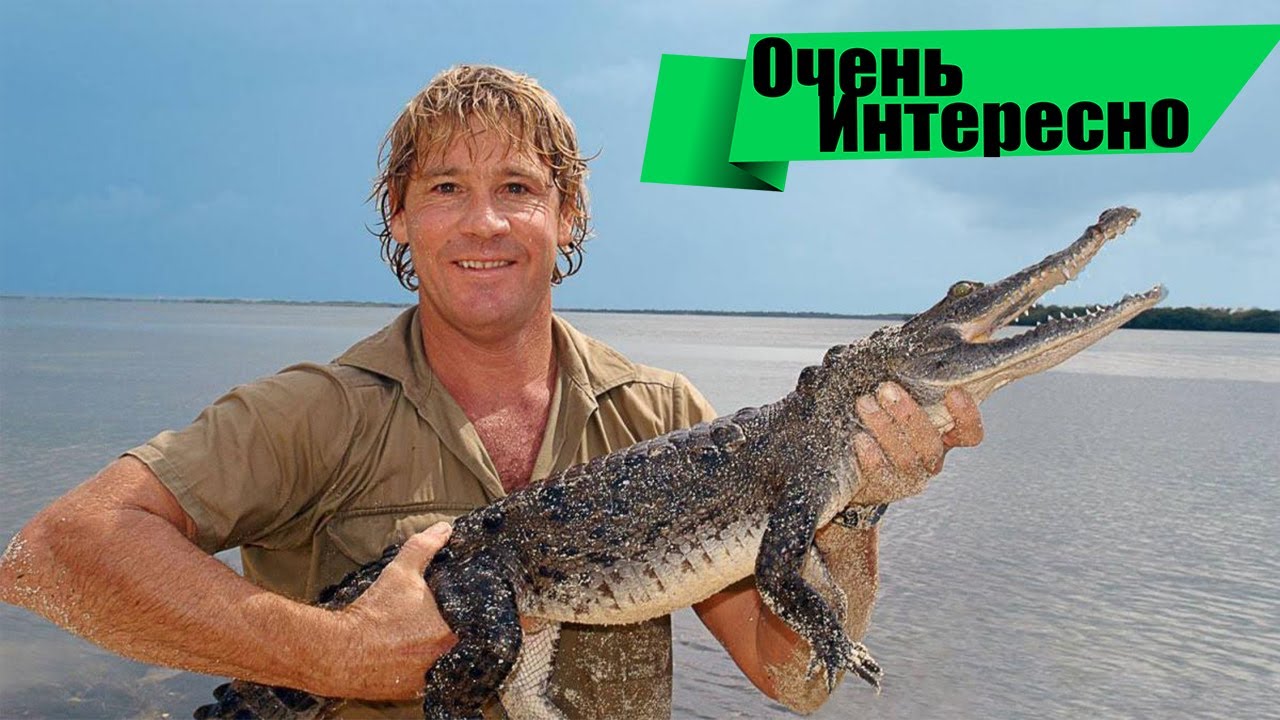 Машина похожая на крокодила