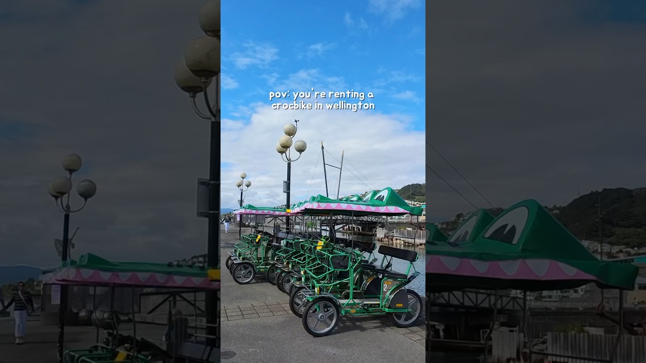 pov: you're renting a crocbike in wellington 