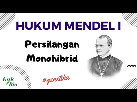 Video: Asas Genetik: Hukum Mendel