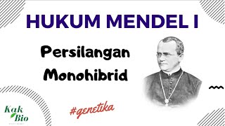 Hukum Mendel I (Persilangan Monohibrid) | GENETIKA