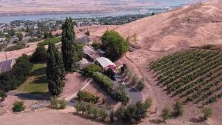 Lavendar and Grape Paradise in The Dalles, Oregon