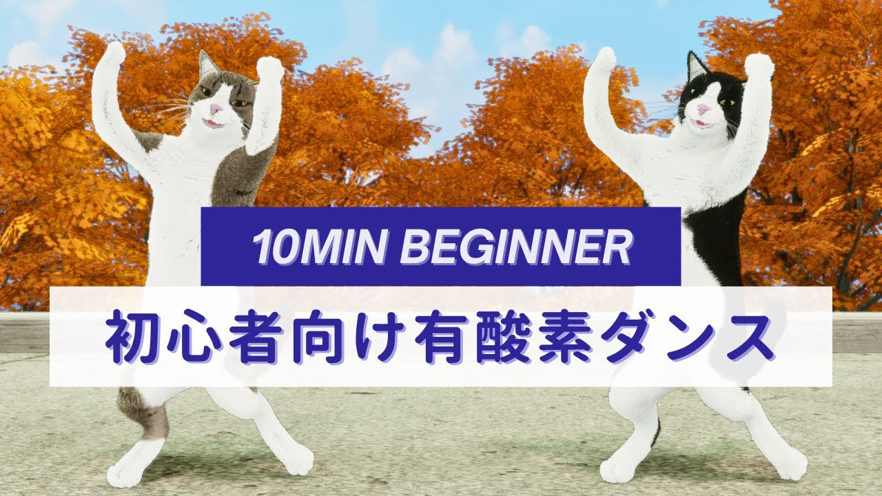 【20秒運動10秒休憩】 初心者向け有酸素ダンス😸