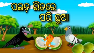 Paida Bhitare Pari Chua |Odia Cartoon |Odia Bird Stories| Odia Chadhei Gapa| Odia Moral Story