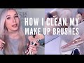 How I clean My make up brushes | dish soap olive oil | ellene pei