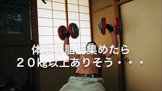 【筋トレデブ】お腹の脂肪が気になるデブ