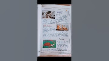 Class 9th...Social Science...Project file on Disaster Management💥✨
