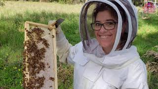 Best Beekeeping Suits Buying Guide [ Top 5 Beekeeping Suits Review ] ✅✅✅