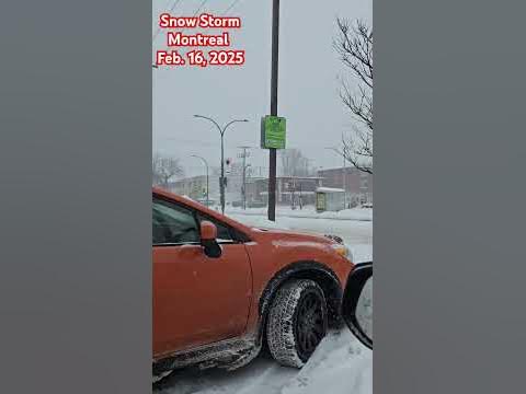 Snow Storm Montreal 2025 cold snowfall snow snow montreal canada