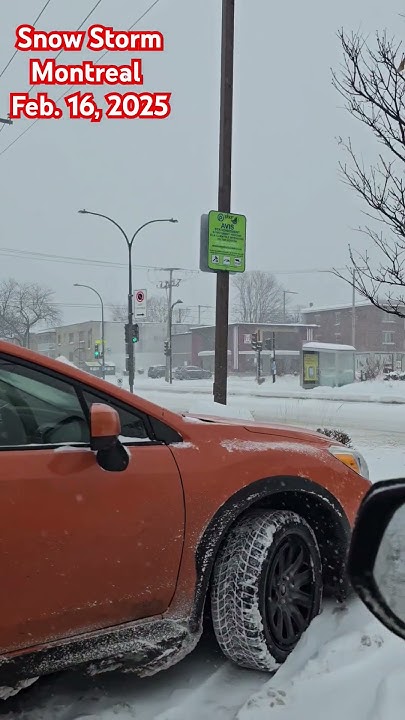 Snow Storm Montreal 2025 cold snowfall snow snow montreal canada