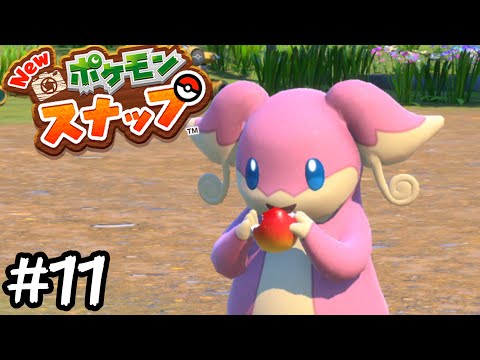 Newポケモンスナップ タブンネがこんなに可愛いなんて初めて知ったよ 実況 11 Youtube