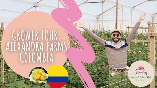 GROWER TOUR IN COLOMBIA : ALEXANDRA FARMS 🌹