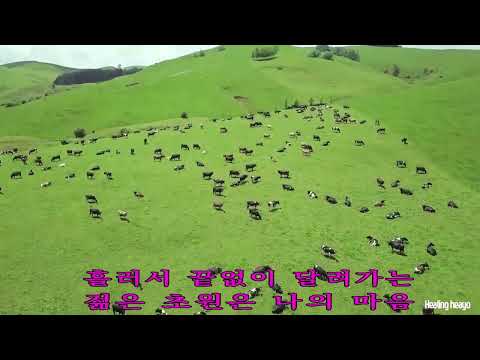 젊은초원  이명진  iSNB  미쳤다!!이명진  559  회