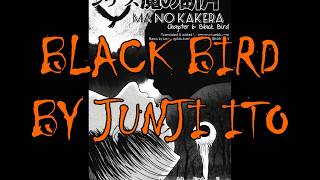 Black Bird by Junji Ito (Chapter 6 of Fragments of Horror)