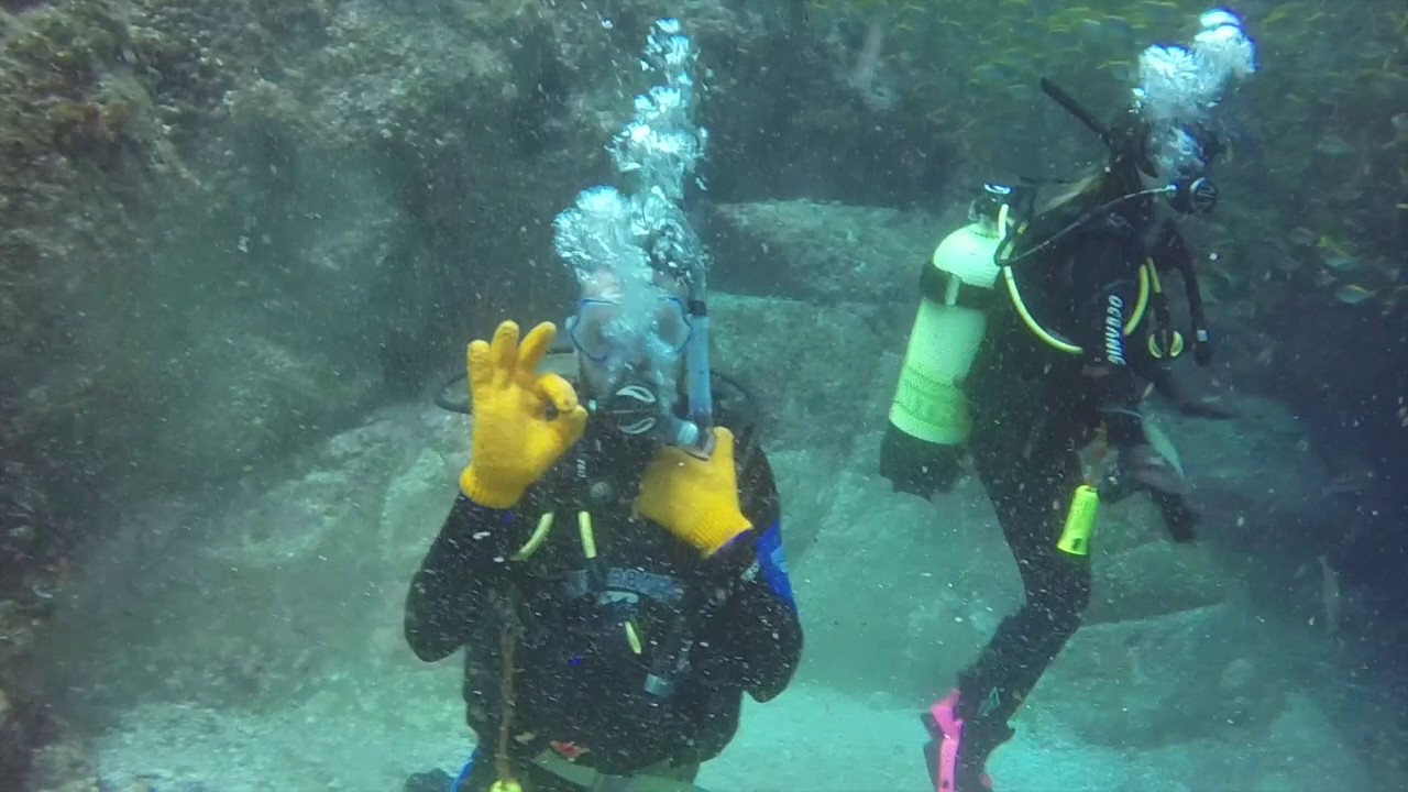 Diving in South West Rocks, NSW YouTube