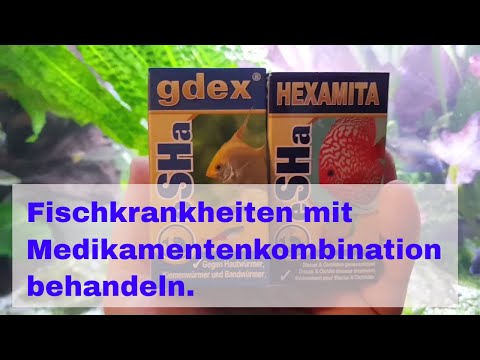 Video: Krankheiten Und Behandlung Von Diskus