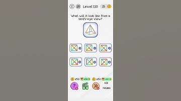 Braindom Level 110 What will it look like from a bird