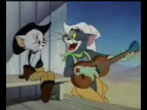 Daru Pya Desi Pya Funny Video of Tom Cat
