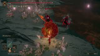 Helping Millicent defeat her Sisters - NPC Invasion Fight
