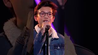 The Voice - Lovely by Billie Eilish part 2