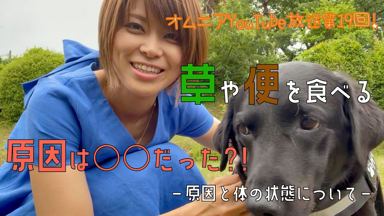草や便を食べる、原因は〇〇だった！？〜原因と体の状態について〜