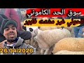 مباشرة اليوم 2026 04 26 من سوق الحد الكاموني الحولي موجود فابور