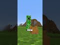 what if minecraft had hamsters