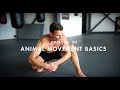 Starte mit Animal Movement Basics ! Lerne die ersten 3 Movements