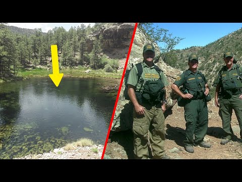 Can These Sounds Explain Their Disappearance?