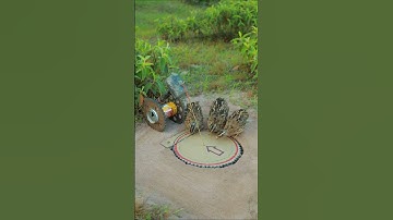 The Best Bird Trap easy - quail trap #shorts #shortvideo #youtubeshorts