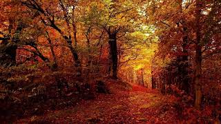 Unknown Song - Autumn Forest
Instrumental
Source: https://www.watzatsong.com/en/name-that-tune/666362.html Unknown Song - Autumn Forest