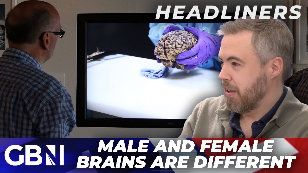 ‘Ron Burgundy WAS right!’ | Stanford boffins discover men and women DO have different brains