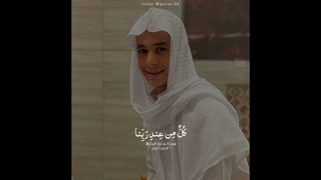اكتب شي تؤجر عليه 🌸🤍 | القارئ عبدالرحمن مسعد | قرآن كريم بصوت جميل