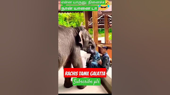 Elephant mind voice #funny #shorts #shortsfeed #youtubeshorts #comedy #elephant #animal mind voice