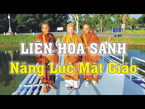 Video: Kim vân sam xanh có rụng không?